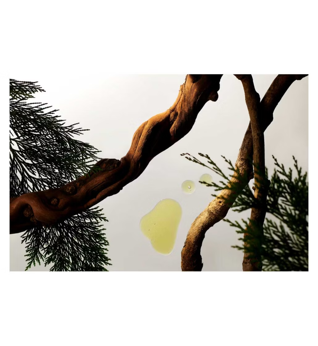 Cedarwood vitamin E men’s grooming routine set