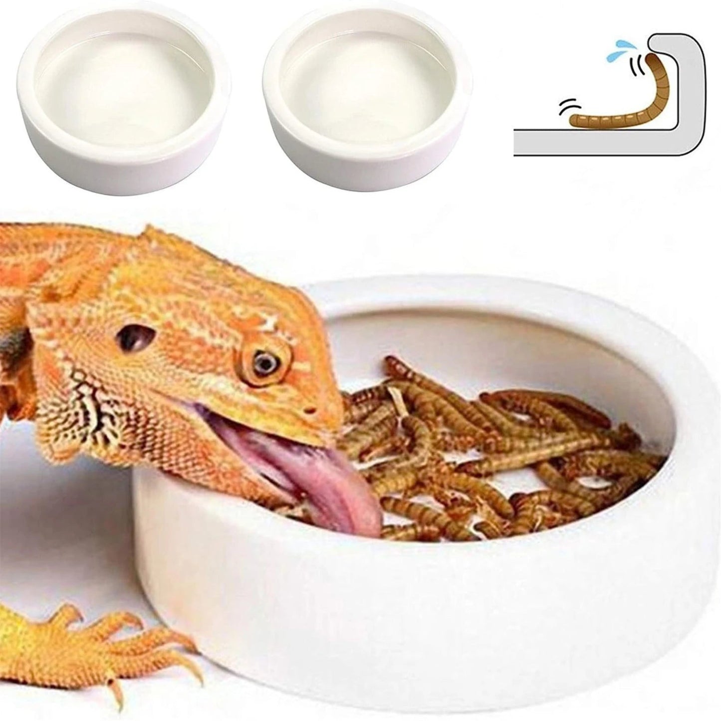 Ceramic reptile food and water bowl with anti escape design