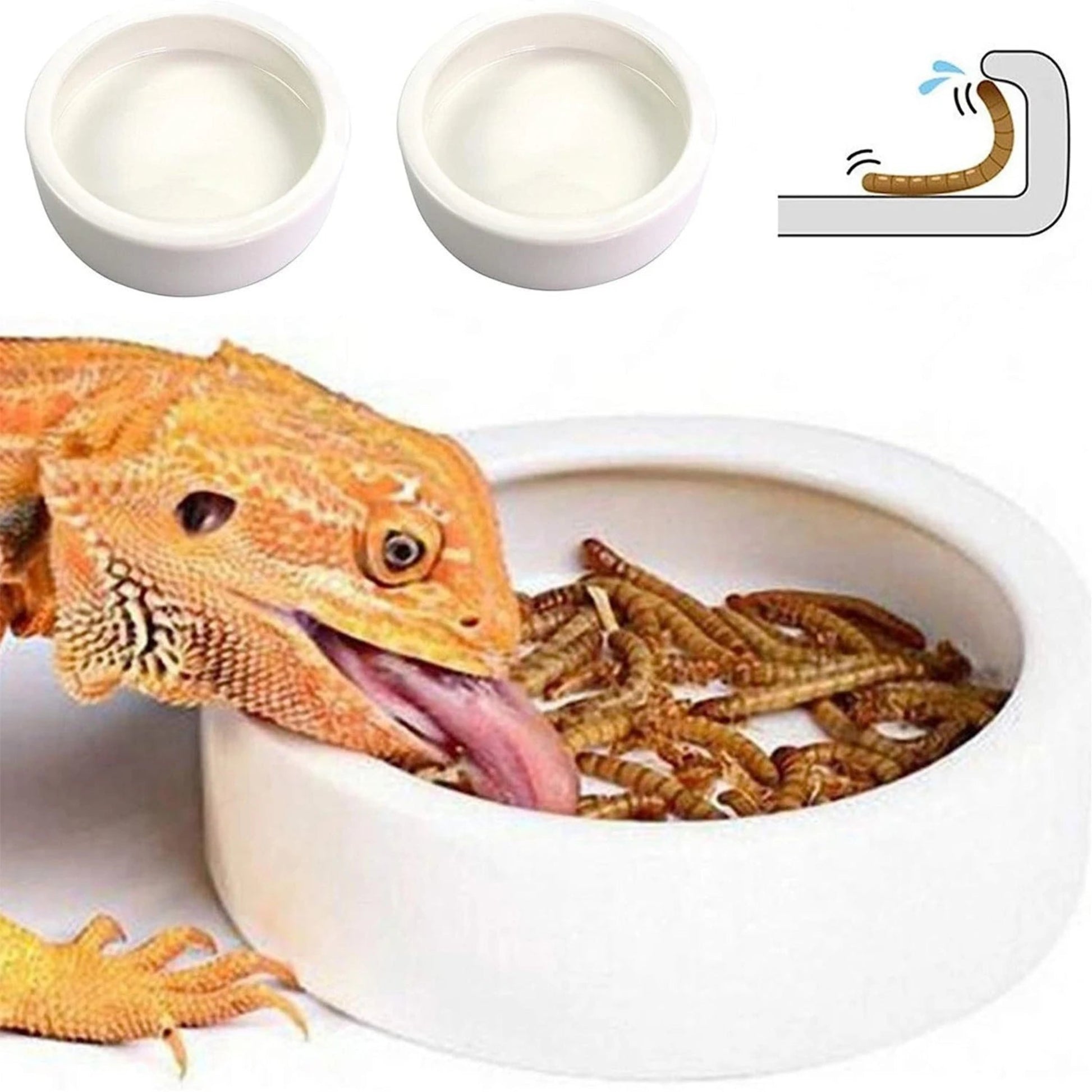 Ceramic reptile food and water bowl with anti escape design