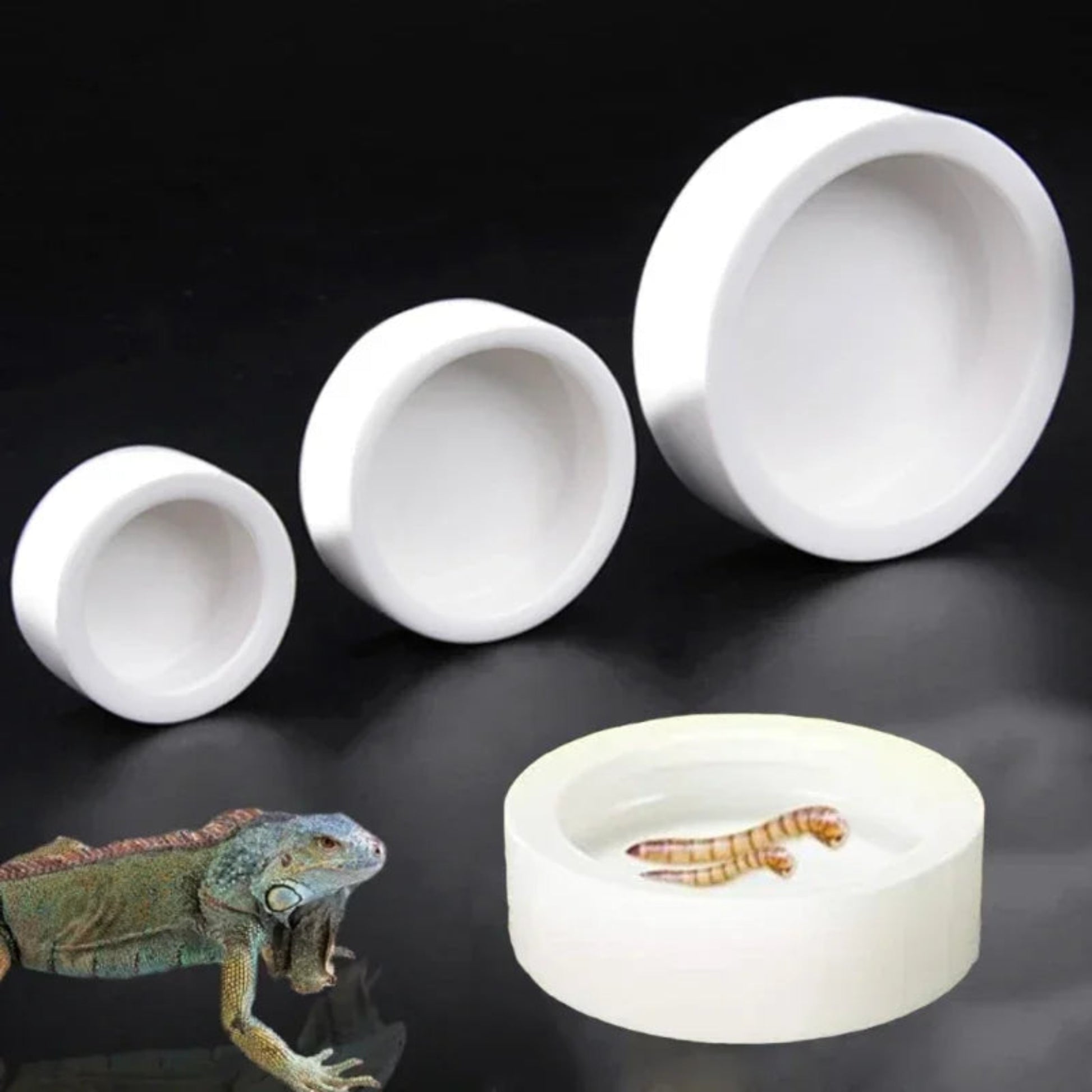 Ceramic reptile food bowl with anti escape design
