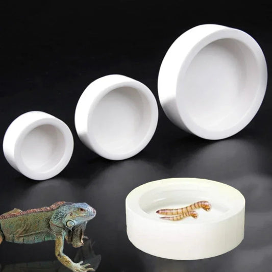 Ceramic reptile food bowl with anti escape design
