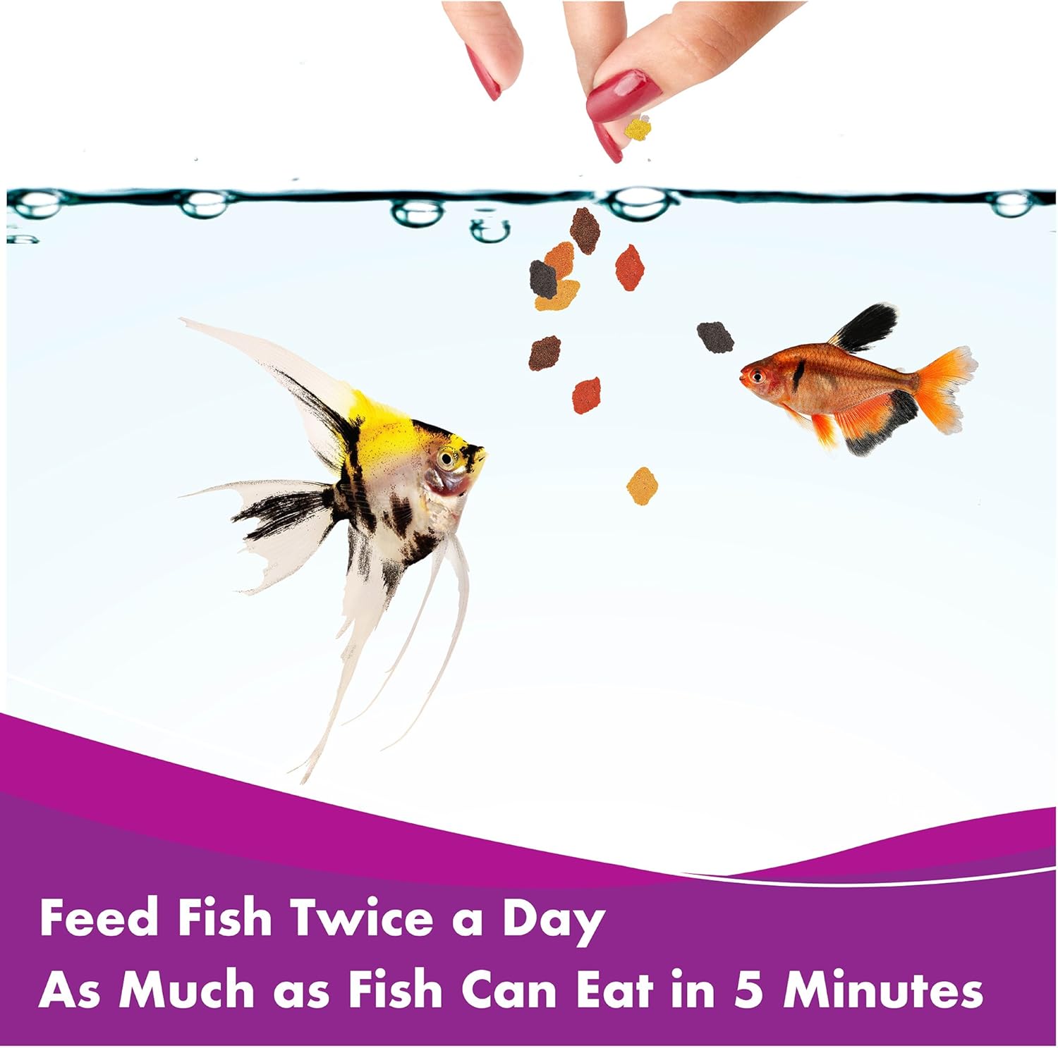 Colour-enhancing flake food for tropical fish – 50g

