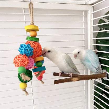 Colourful rattan chew ball toy hanging inside bird cage