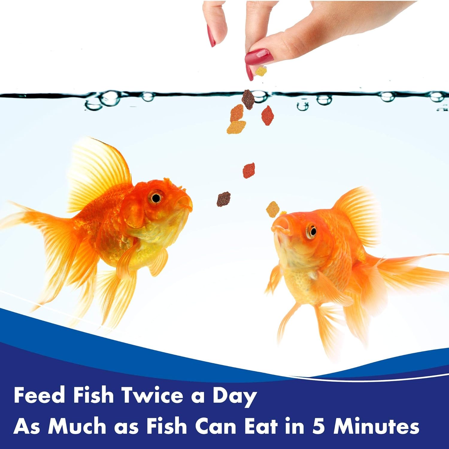Complete nutrition fish food flakes for goldfish and pond fish