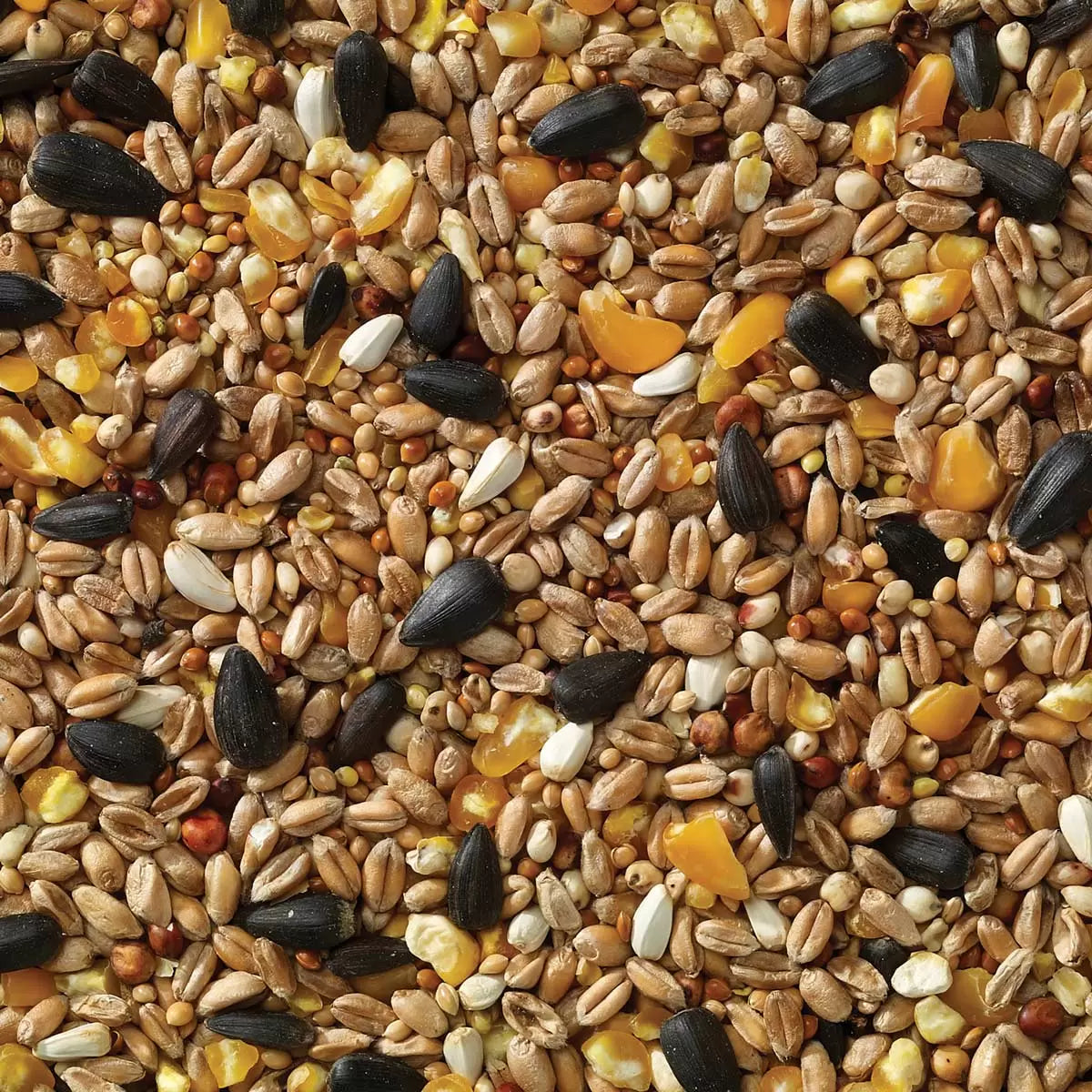 Mixed seed bird food for garden wildlife feeding