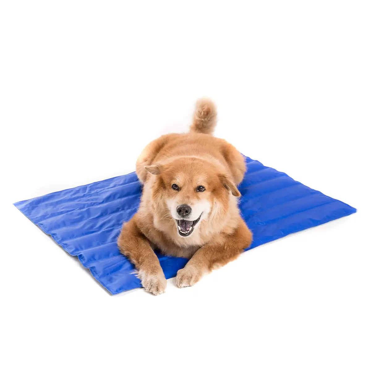 Cool Club Pet Cooling Mat XL, 70cm x 90cm – Perfect for keeping pets cool and comfortable in hot weather. Ideal for large dogs or pets with thick fur.