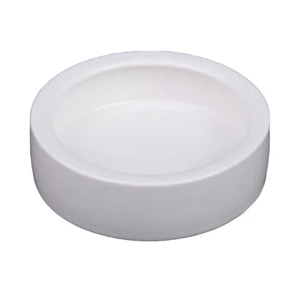 Small reptile feeding dish for daily pet care