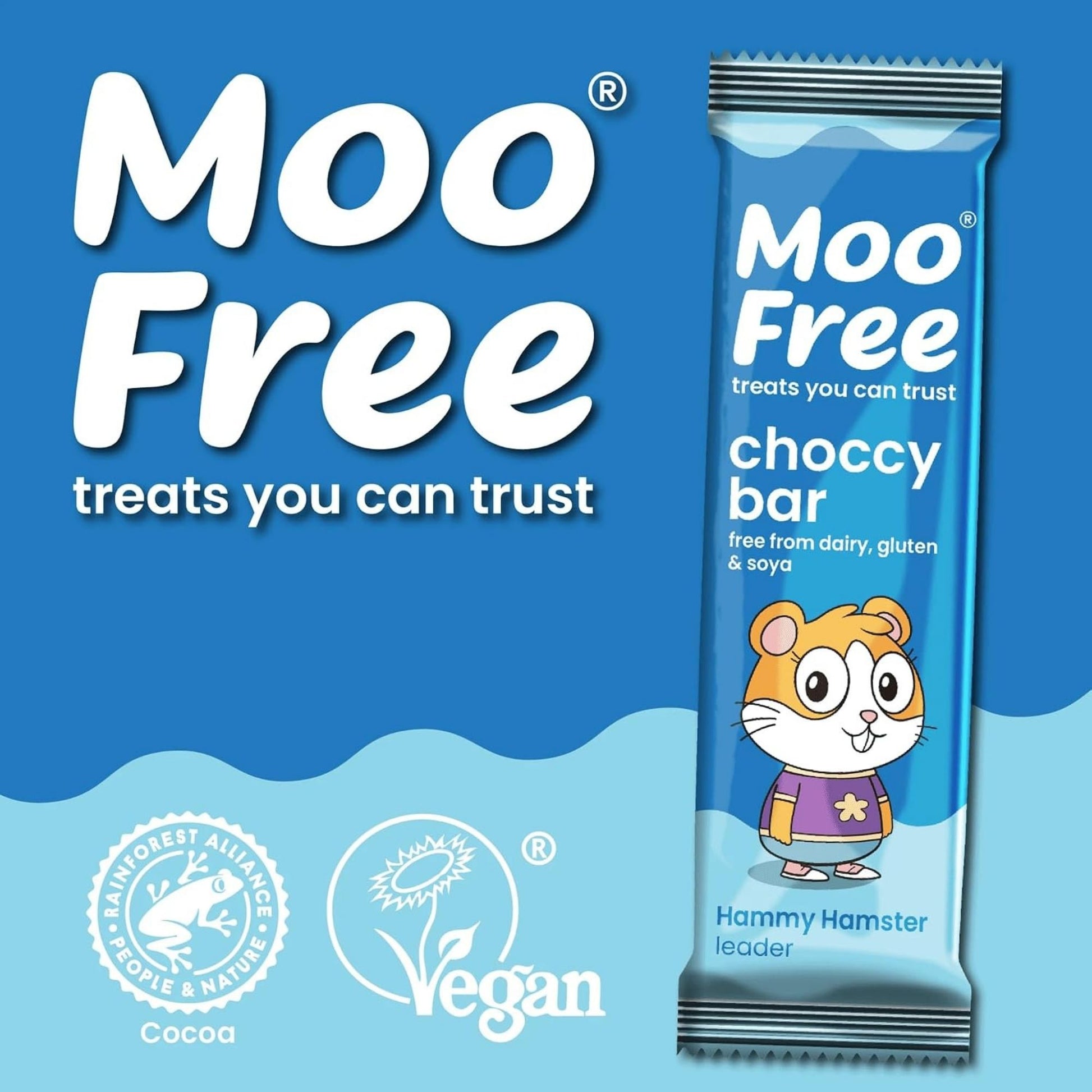 Gluten free vegan chocolate selection