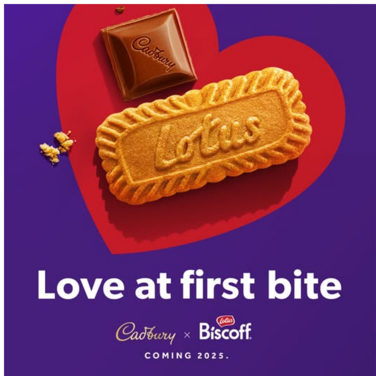 Dairy Milk Biscoff chocolate bar ideal for gifting or snacking