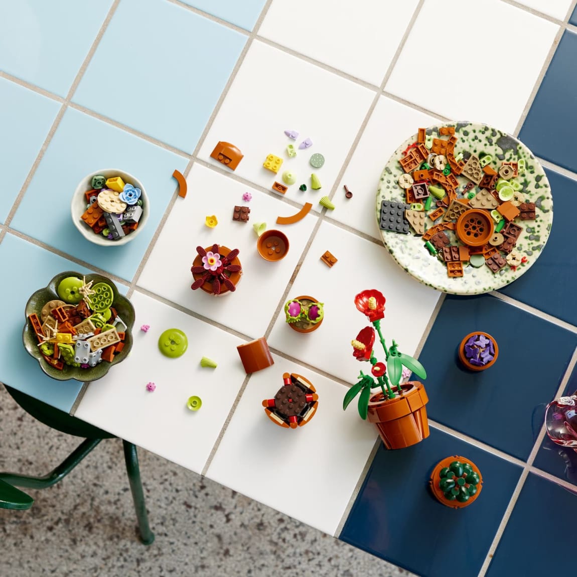 Buildable arid, tropical, and carnivorous plants