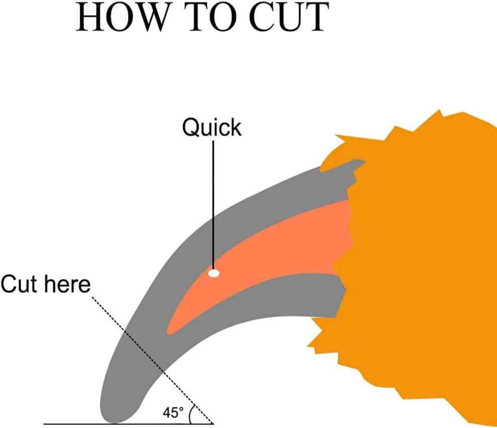 Precision stainless steel pet nail trimmers for safe grooming