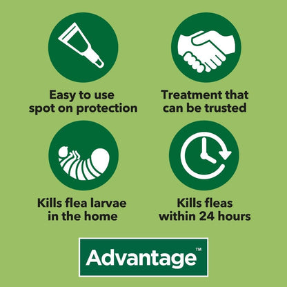 fast acting flea killer for big cats