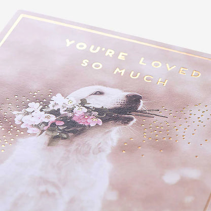 Blank inside stationery cards for personalised written messages