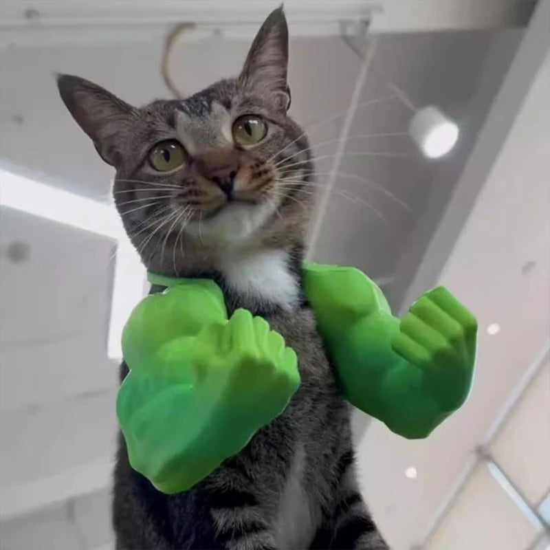 Funny superhero style cat costume