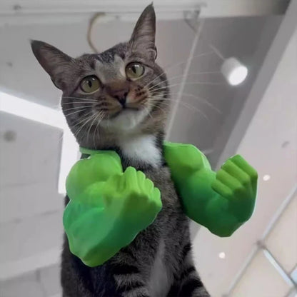 Funny superhero style cat costume