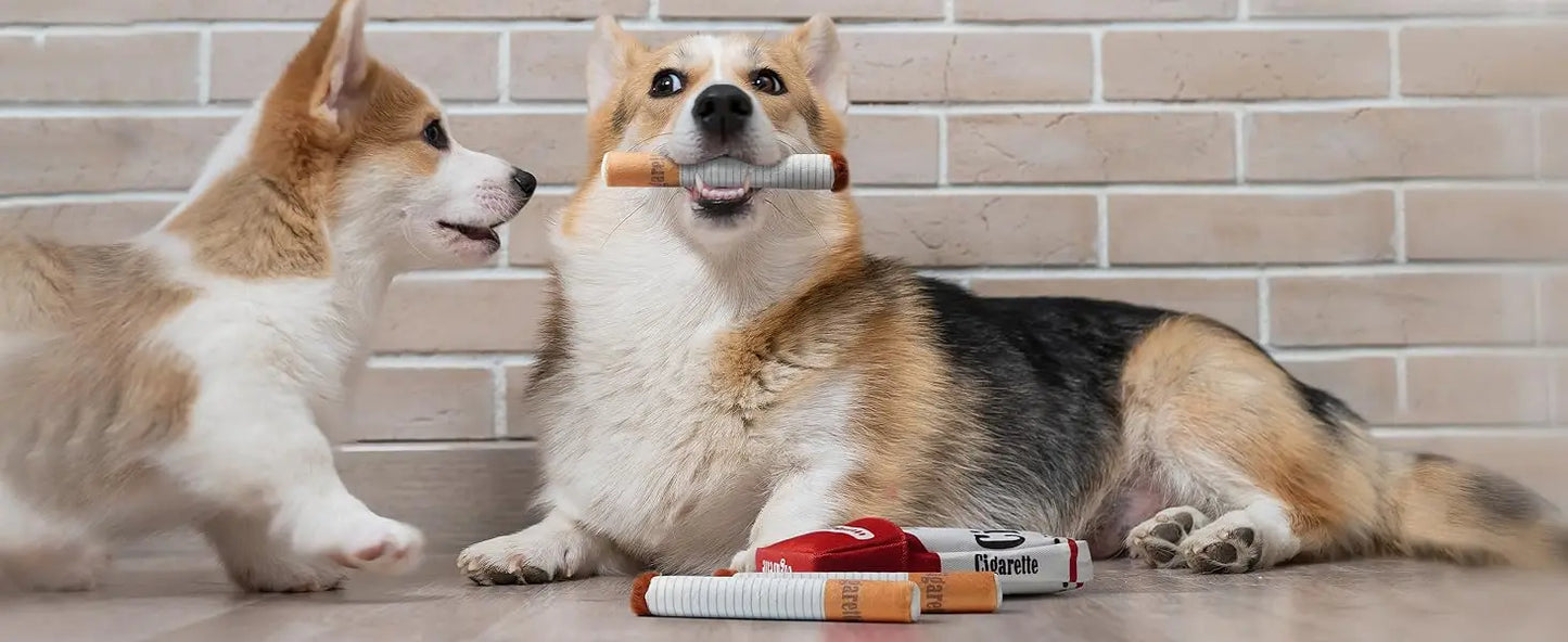 Interactive squeaker toy for pets
