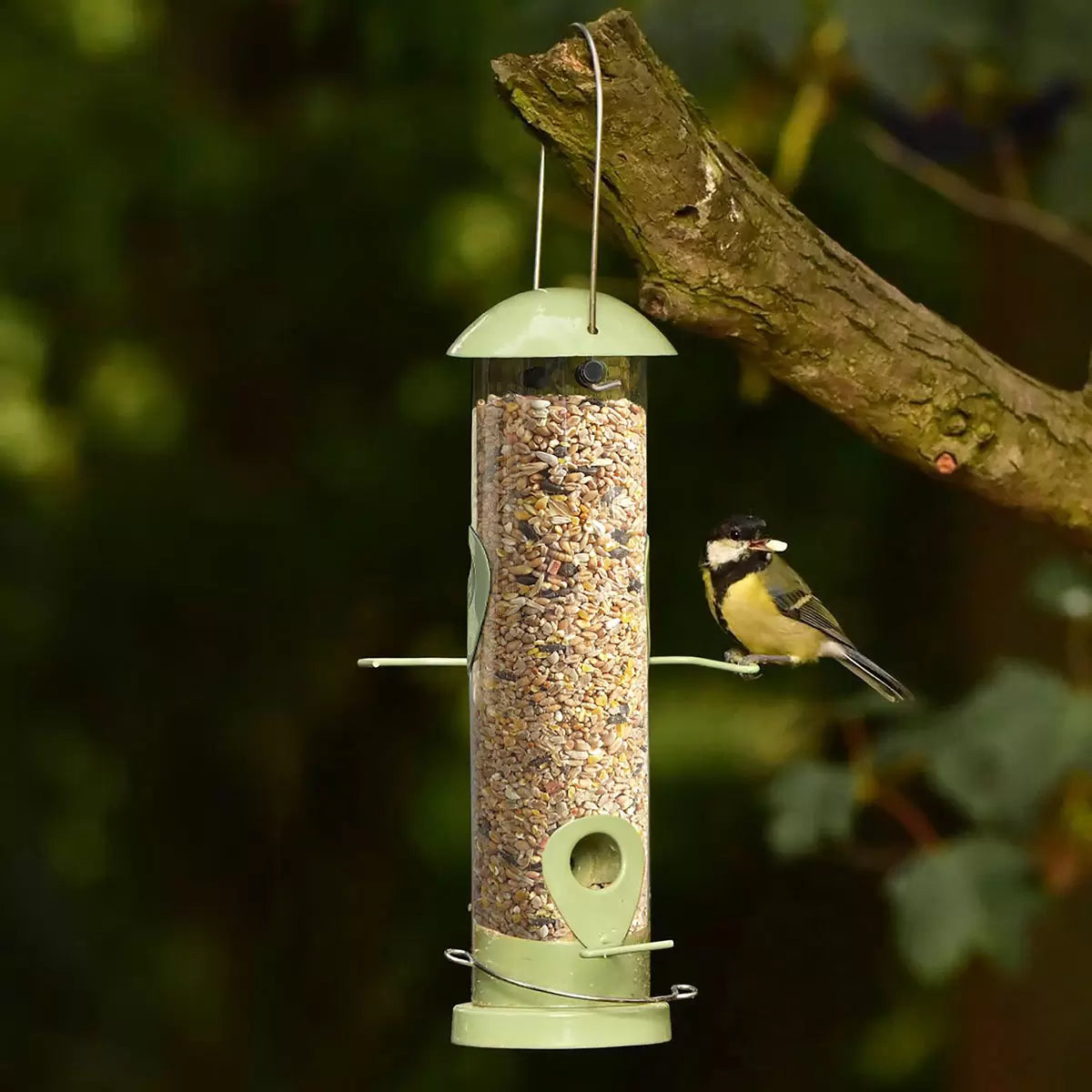 Wild bird seed suitable for hanging feeders and bird tables
