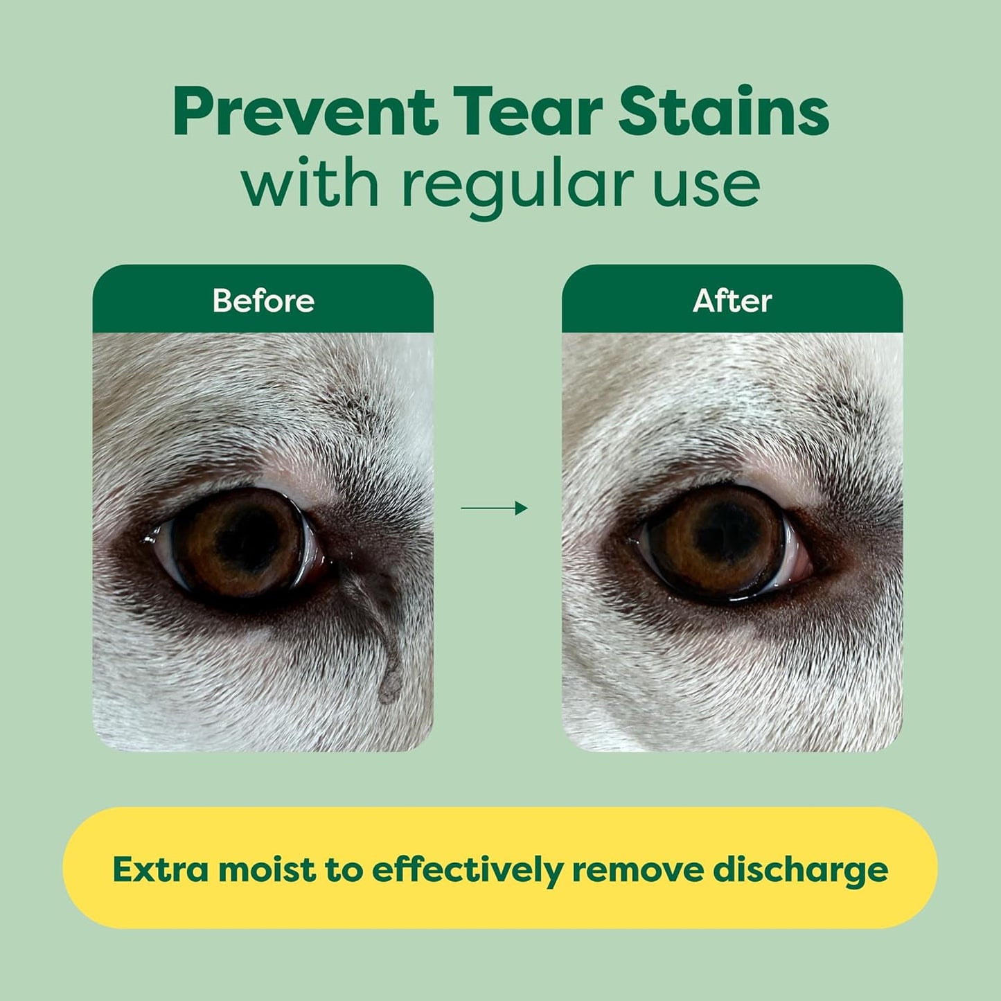Gentle wipes for cleaning pet eye discharge and dirt – Earth Rated