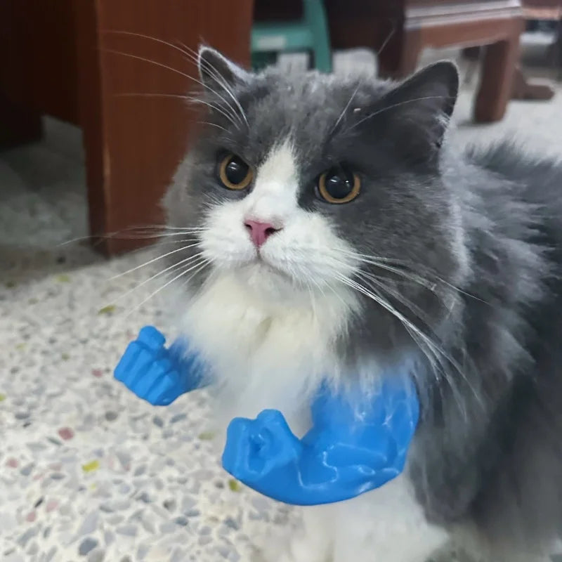 Halloween costume for cats