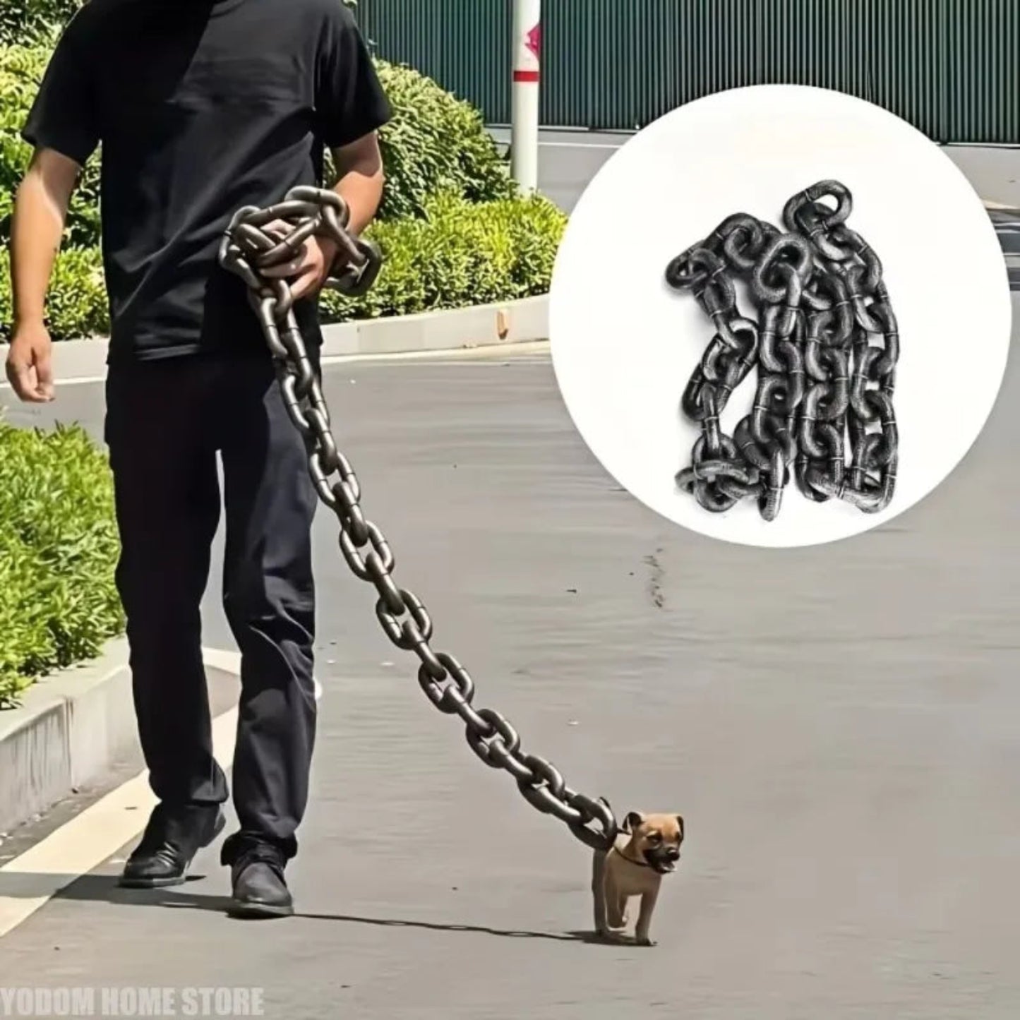 Funny Halloween pet photo prop