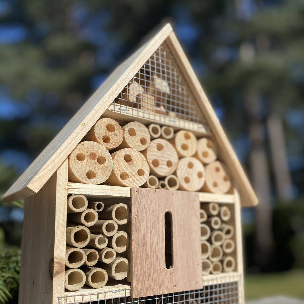 Natural wooden insect house to attract bees, lacewings, and butterflies