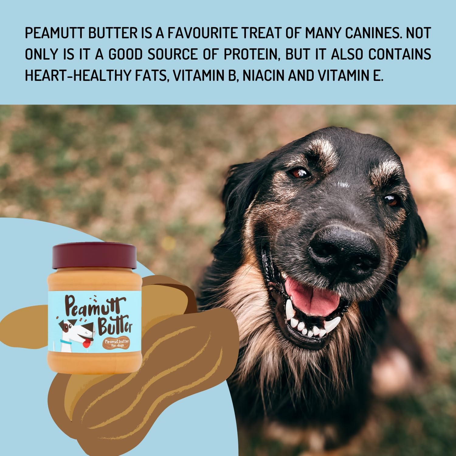 Healthy natural peanut butter for dogs
