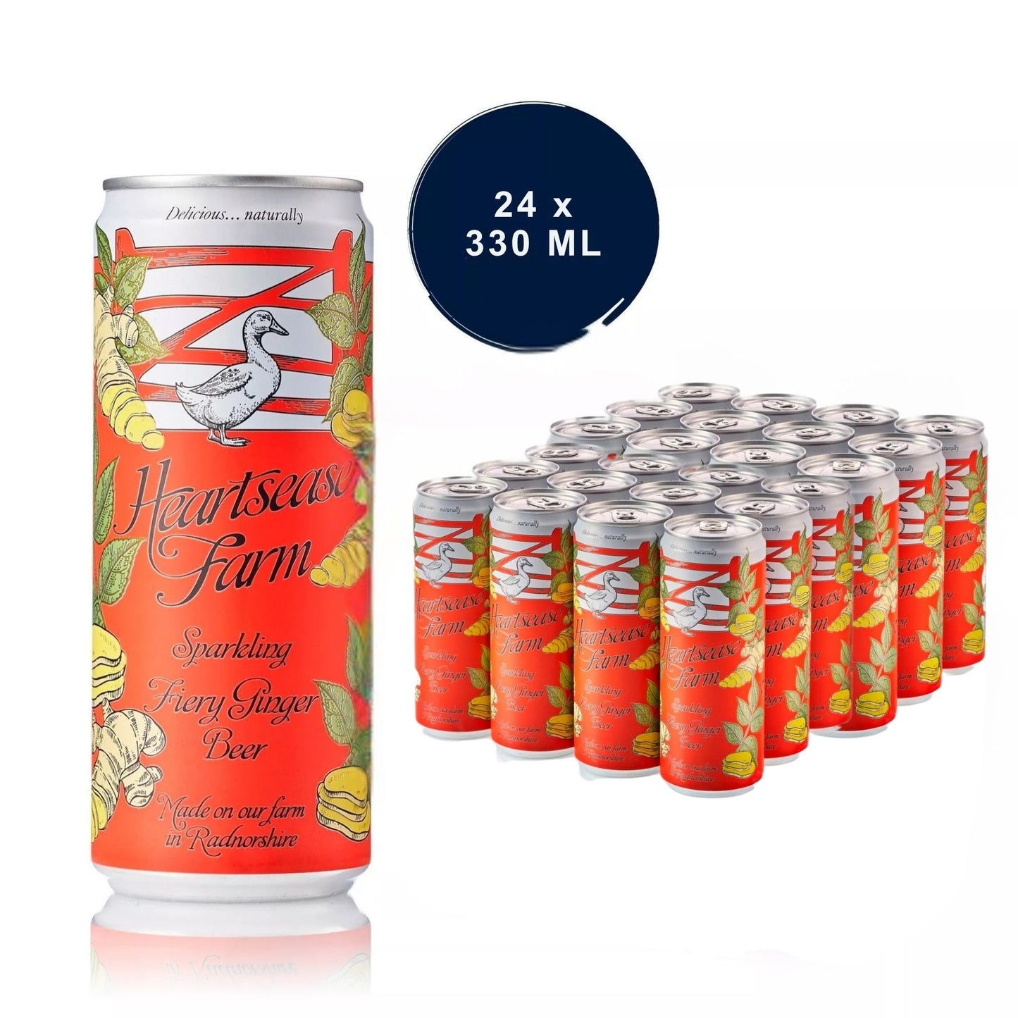 Fiery ginger beer sparkling drink cans