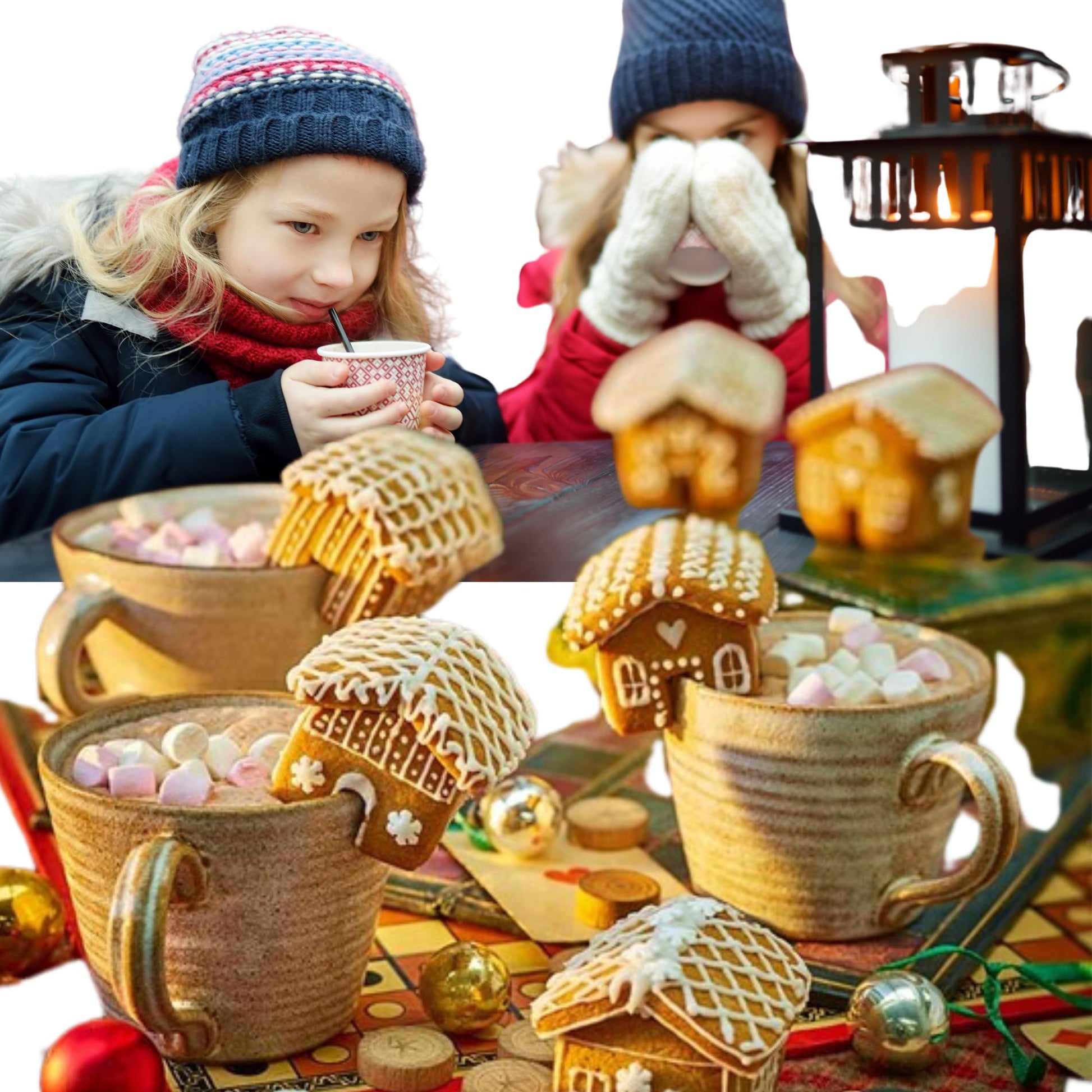 Hot chocolate collection featuring twelve original Barista House blends