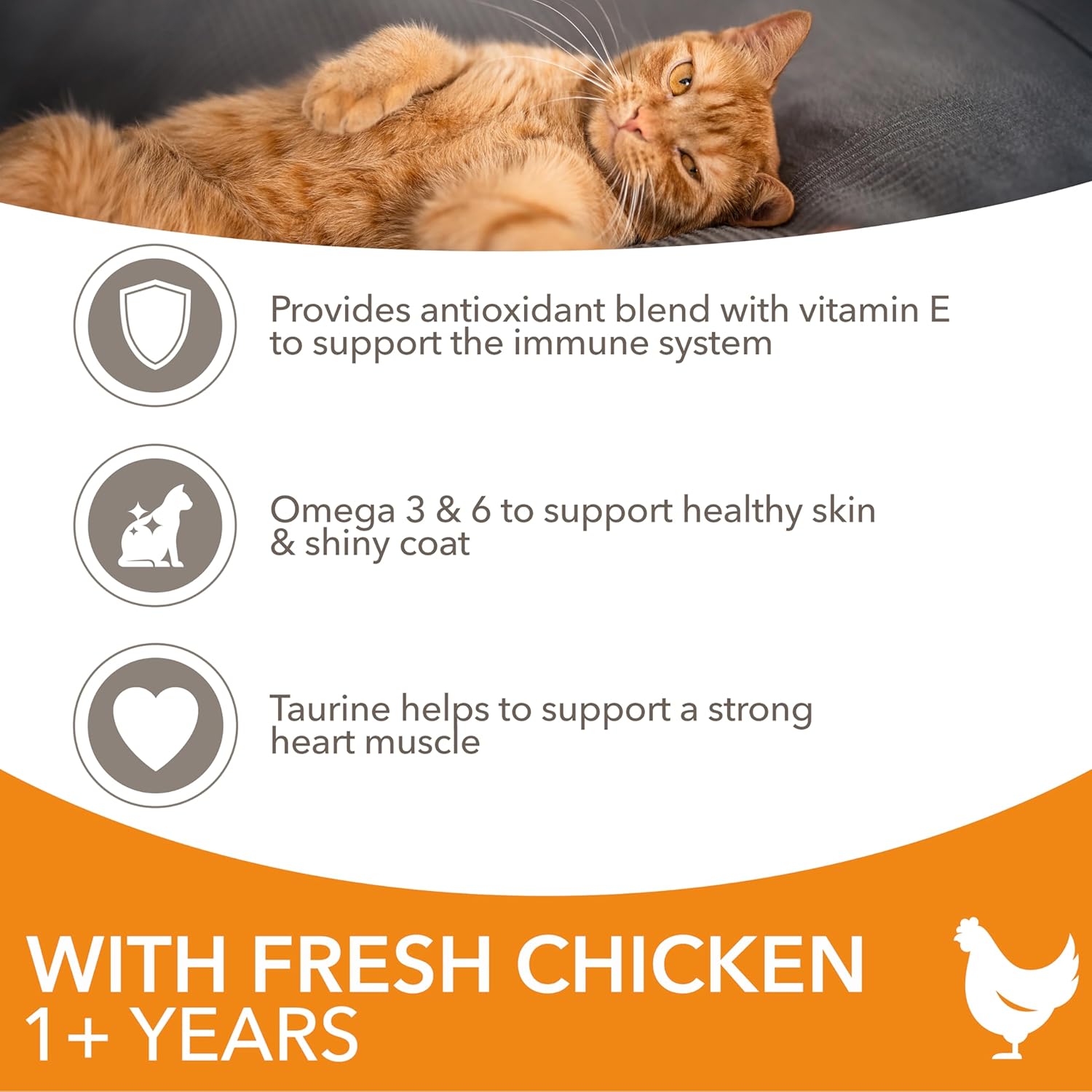 adult cat kibble with high protein content