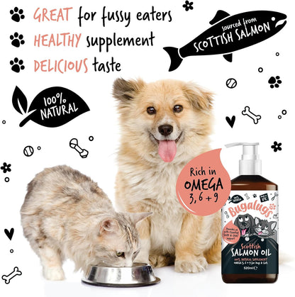 Salmon oil supplement easing itchy skin in dogs and cats