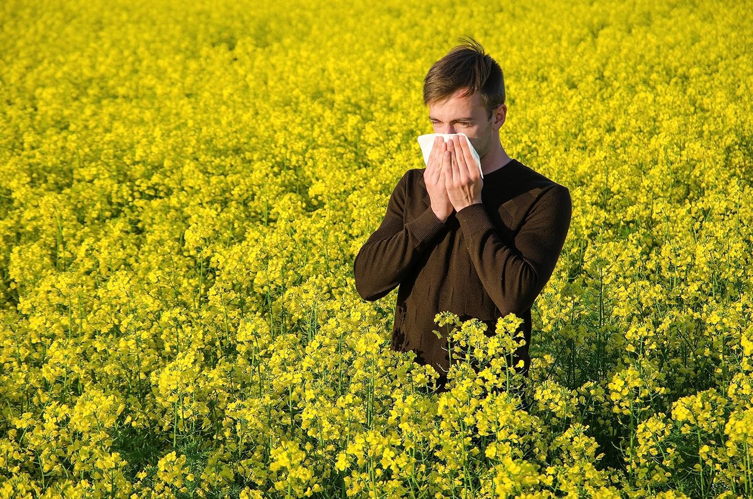 Eco-friendly hay fever wipes with soothing essential oils