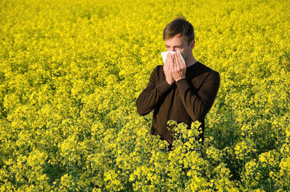 Eco-friendly hay fever wipes with soothing essential oils