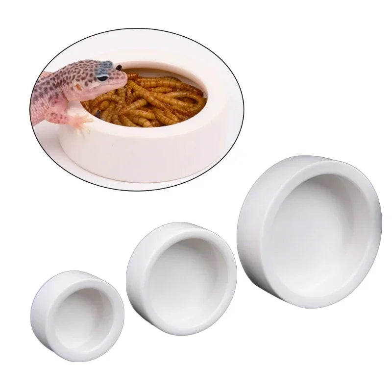 Anti escape feeder bowl for mealworms and insects