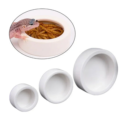 Anti escape feeder bowl for mealworms and insects