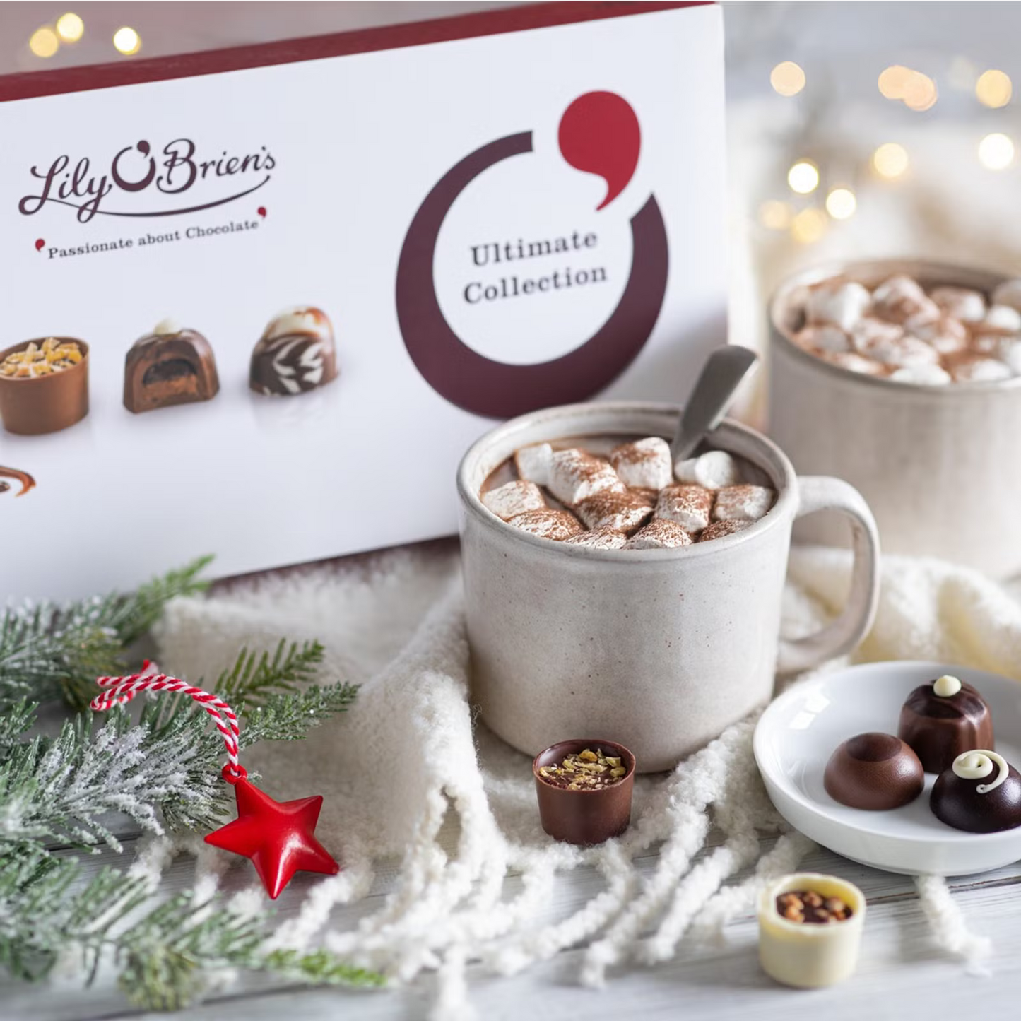 Gourmet 600g assortment of handcrafted chocolate truffles by Lily O’Brien