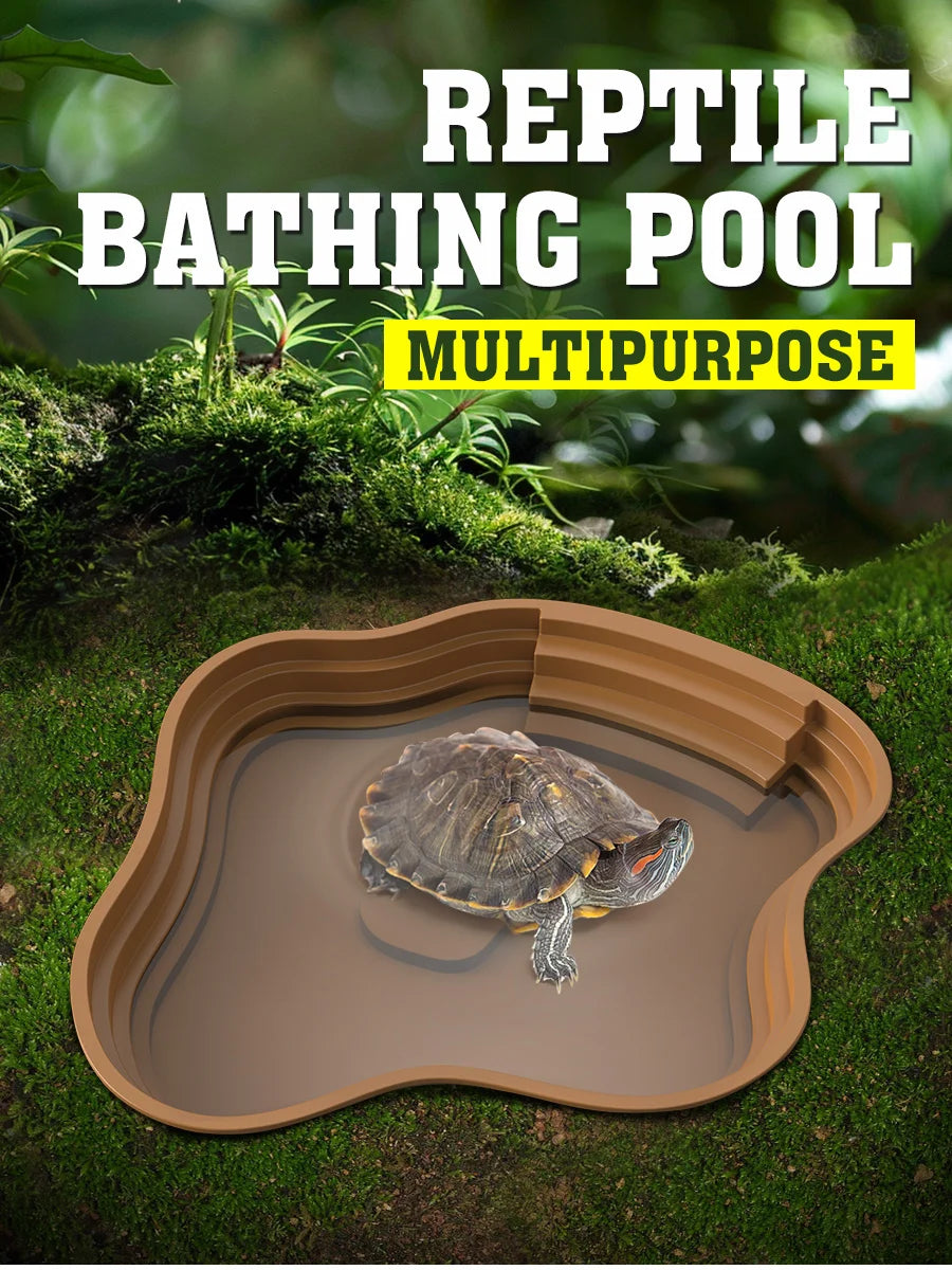 Terrarium accessory for turtles and amphibians