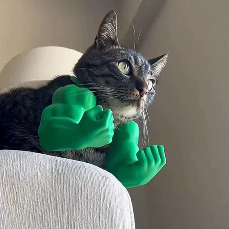 Pet costume for funny photos