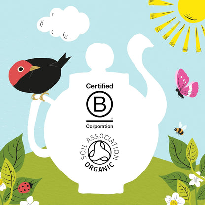 Assorted organic herbal and green tea bags from Clipper