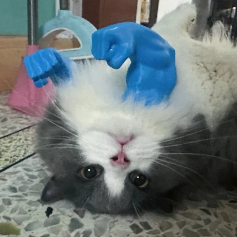 Adjustable neck costume for cats