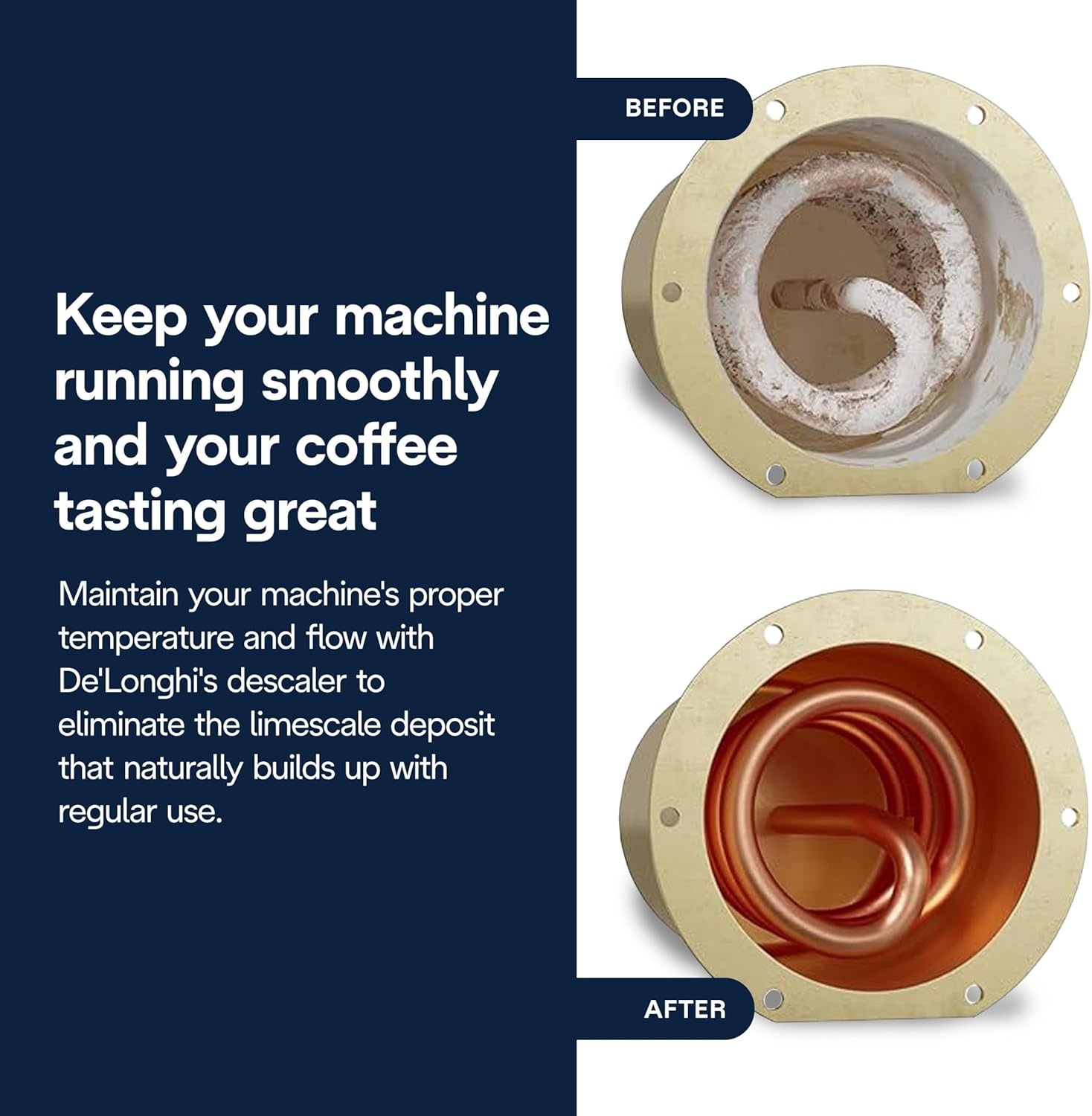 Plant-based coffee descaler solution