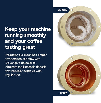 Plant-based coffee descaler solution