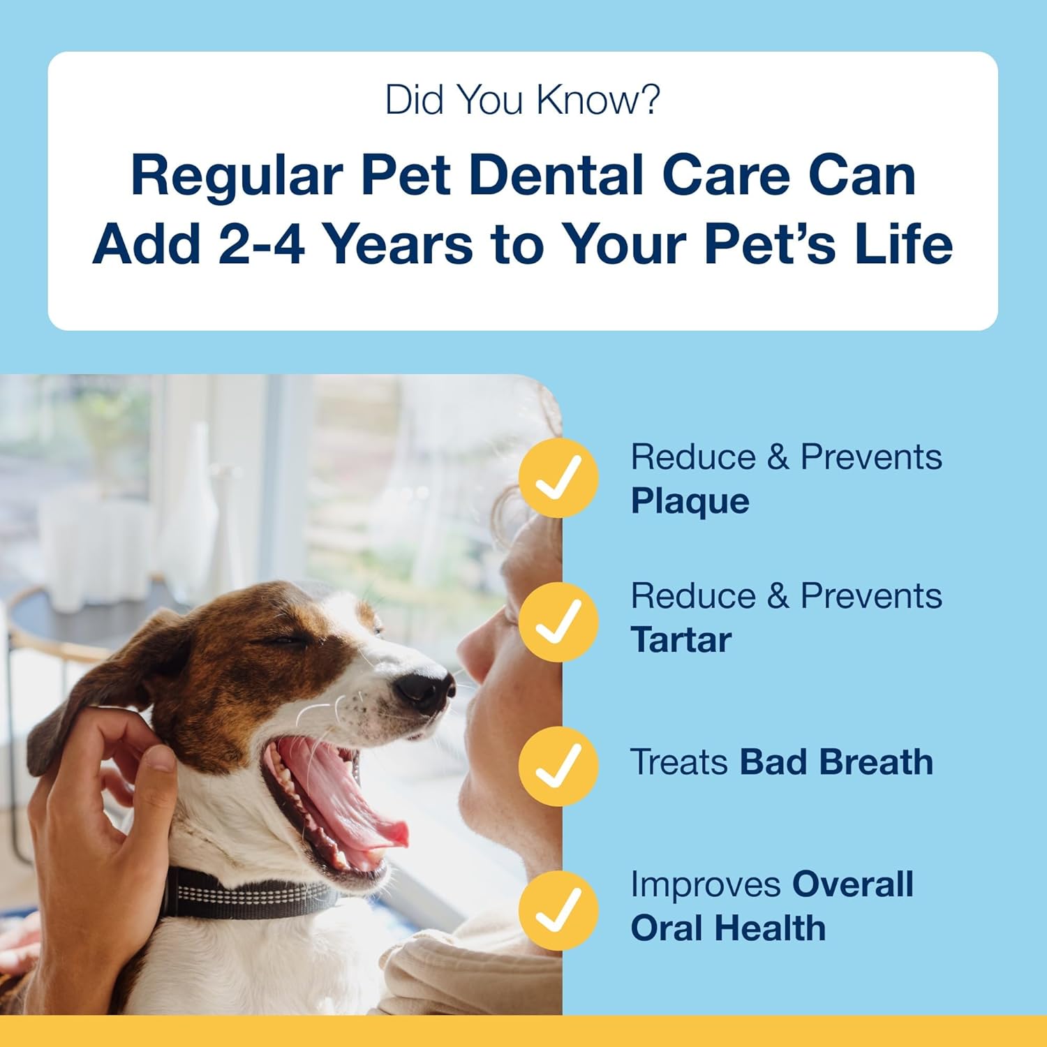 pet dental care supplement no brushing needed