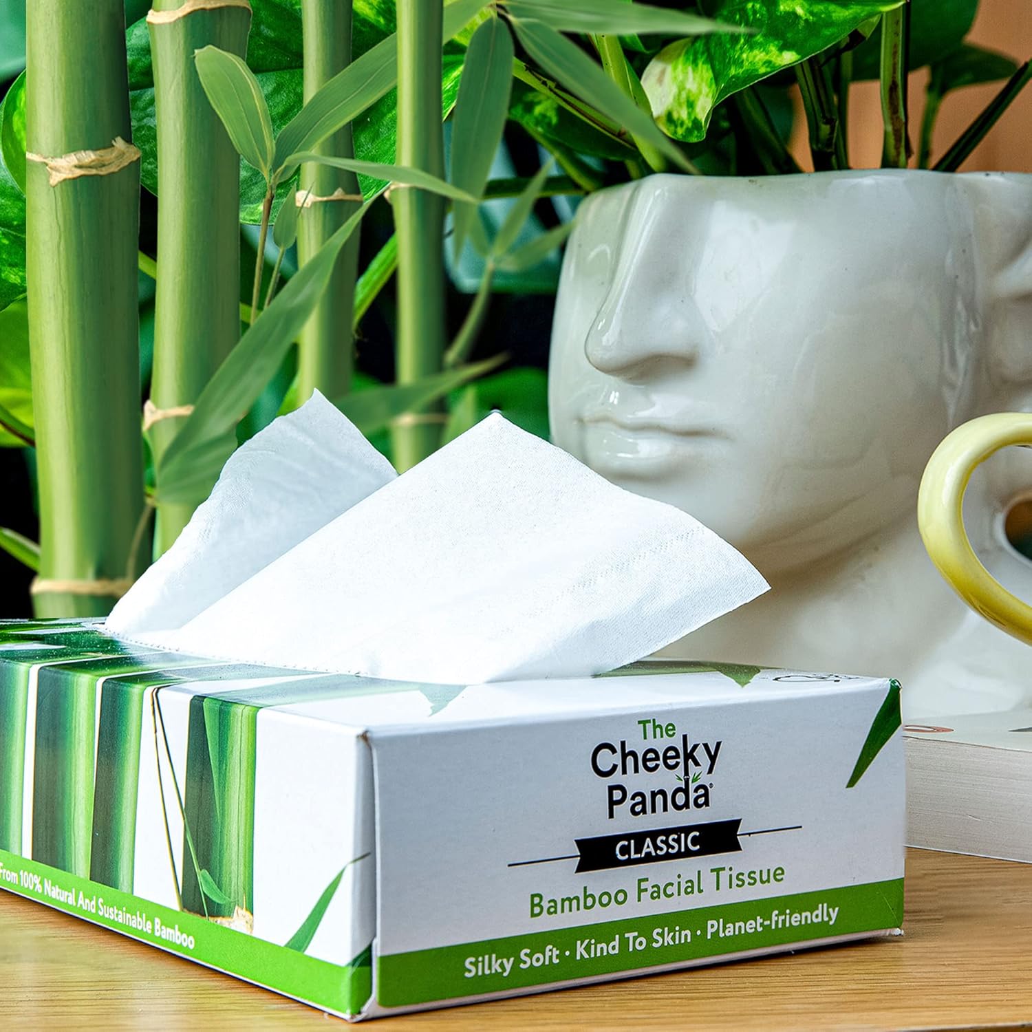 The Cheeky Panda Bamboo Facial Tissues plastic-free tissue box – a sustainable and eco-friendly alternative to regular tissues.