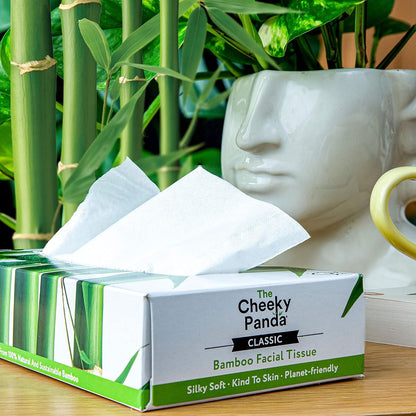 The Cheeky Panda Bamboo Facial Tissues plastic-free tissue box – a sustainable and eco-friendly alternative to regular tissues.