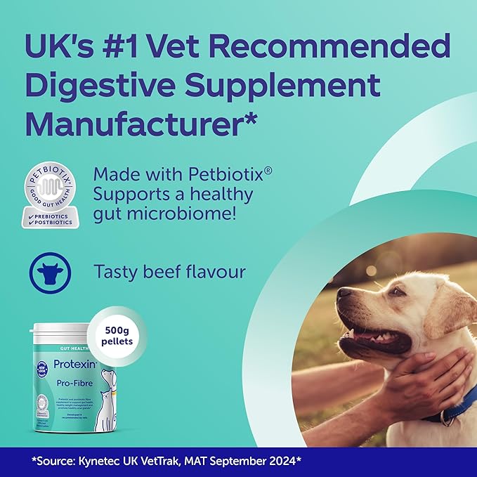 Dog and cat enjoying food supplemented with Protexin Pro-Fibre for gut health