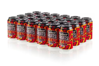 Radnor Fruits Orange & Mango sparkling juice drink for schools and any occassion