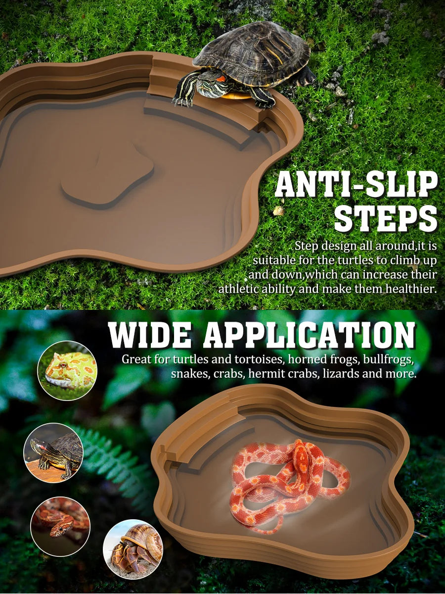 Turtle water basin for soaking and drinking