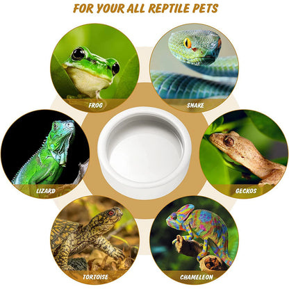 Food and water bowl for geckos snakes and lizards