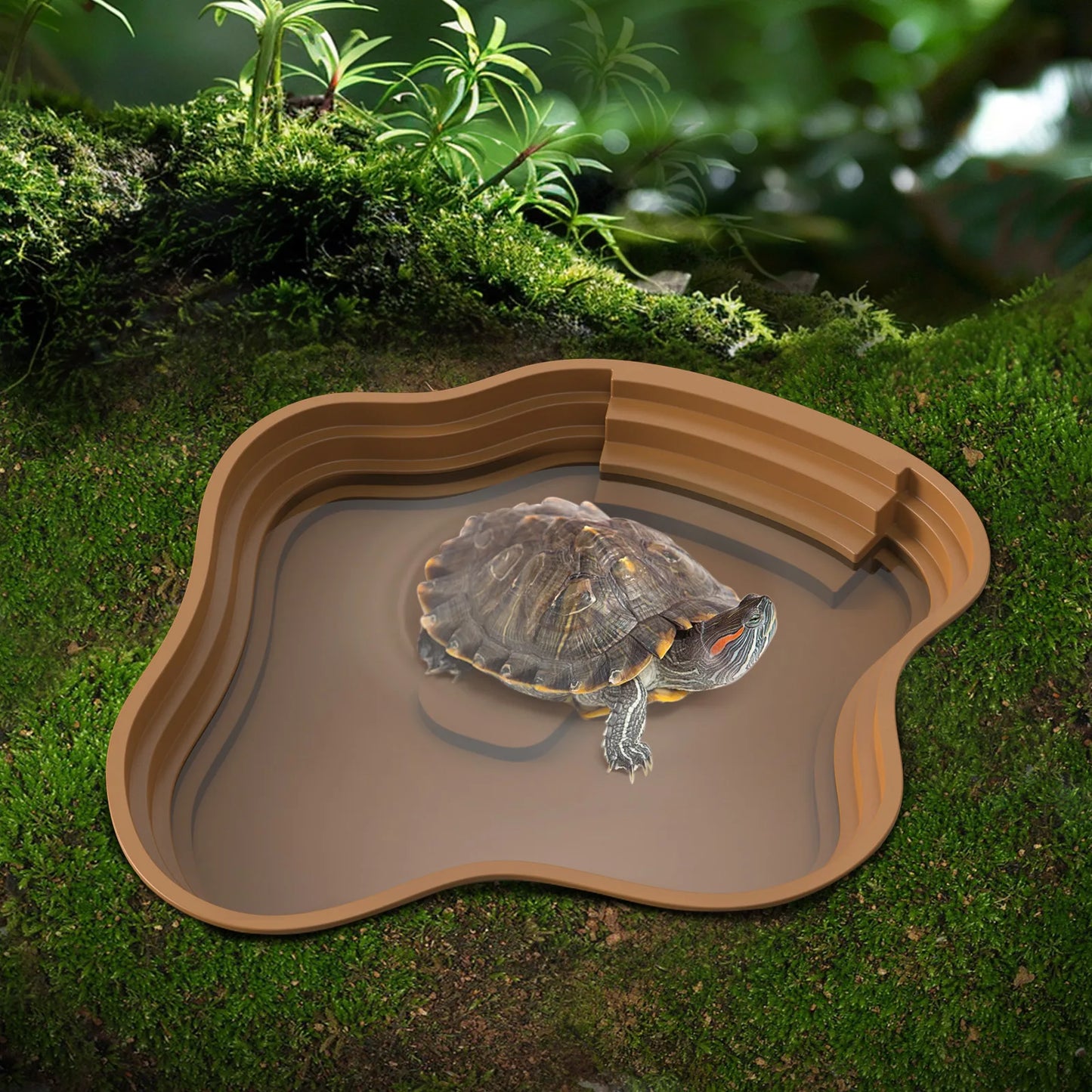 Reptile food bowl and hydration dish