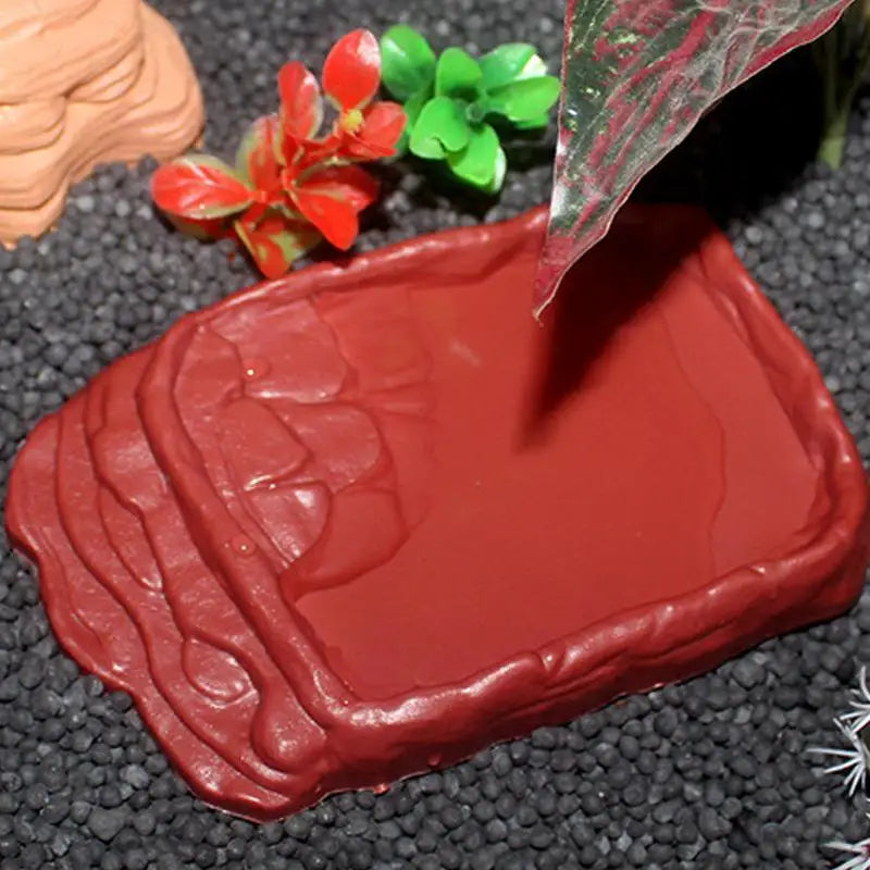 Reptile water bowl for bearded dragons and geckos